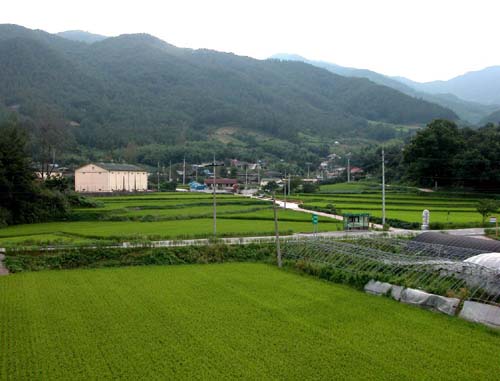 곡성 연동마을 전경 